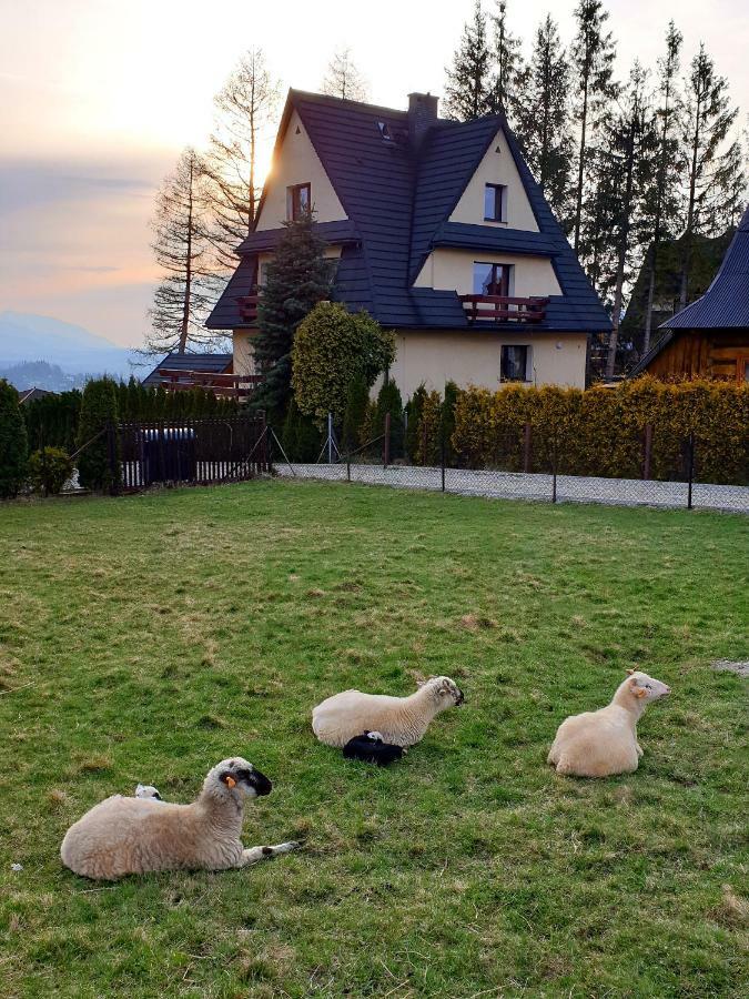 Apartamenty Bella Vista Zakopane Extérieur photo